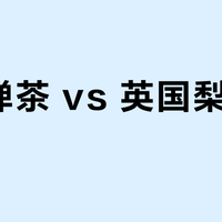 全季禅茶 vs 英国梨与小苍兰？58位用户实测，哪款香薰更值得你带回家