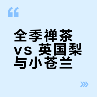 全季禅茶 vs 英国梨与小苍兰？58位用户实测，哪款香薰更值得你带回家