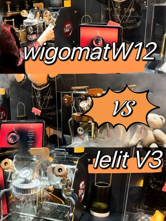 E61咖啡机的选择题：W12和V3