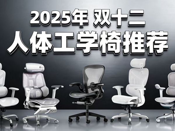 【2025年双十二人体工学椅推荐】【无广推荐】全价位人体工学椅选购指南！品牌包含：西昊/保友/黑白调/永艺/京东京造/enova/歌德利等