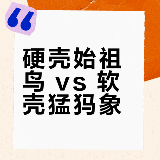 硬壳始祖鸟 vs 软壳猛犸象？我们汇总了127位用户真实体验，结论在这