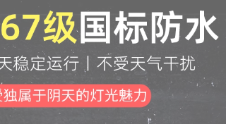 解锁户外光影魔法！220V LED景观灯合集，点亮你的专属夜色美学