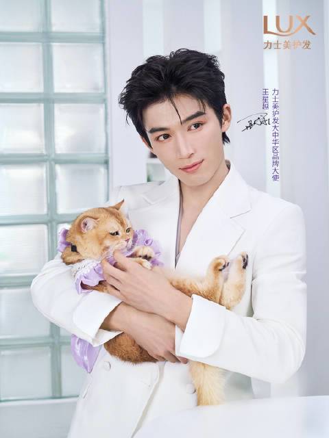 @王星越 年末总结释出👀点击查收 咪咪和旺旺的撒娇日常，年末还未实现的小心愿💌还有日常放松的秘密是… 力士精油香氛洗护系列雪松栀子香，为秀发带来温柔香气。秀发水润丝滑，72小时自带奢香🌲即日起，上天猫