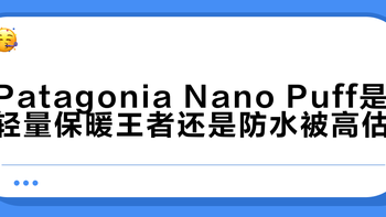 Patagonia Nano Puff是轻量保暖王者还是防水被高估？1800+用户观点大交锋