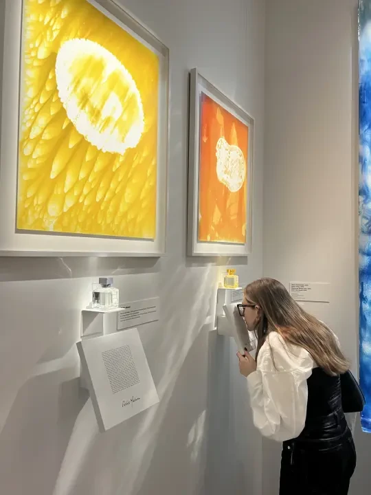免费却比很多收费都好看｜东京宫香水展