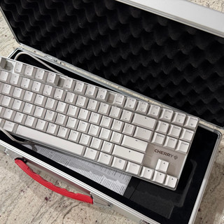 桃 CHERRY 樱桃MX8.2TKL 87键三模机械键盘白色红轴RGB 【报价价格评测怎么