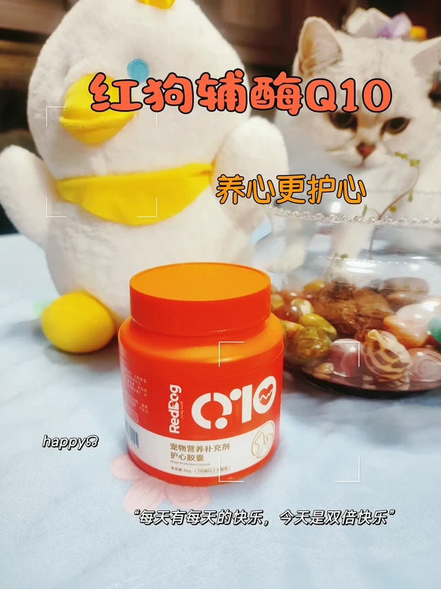 我家毛孩子的“心脏小护盾”