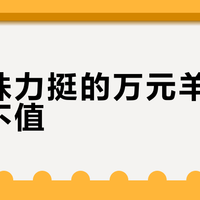 董明珠力挺的万元羊绒大衣值不值？4500米高原初绒引争议，1287+用户观点交锋