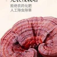 2025破壁灵芝孢子粉品牌排行榜：谁是破壁灵芝孢子粉的“真王者”