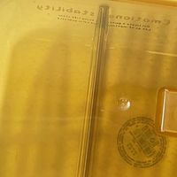 打工人带饭神器！丕格高硼硅玻璃便当碗太香了