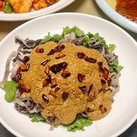 天津老字号饭馆：传统味道与网红打卡，谁更值得推荐？1200+用户观点大PK