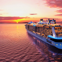 皇家加勒比 vs MSC荣耀号？58位亲子家庭真实体验大起底