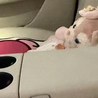 冬季驾车神器提升舒适体验