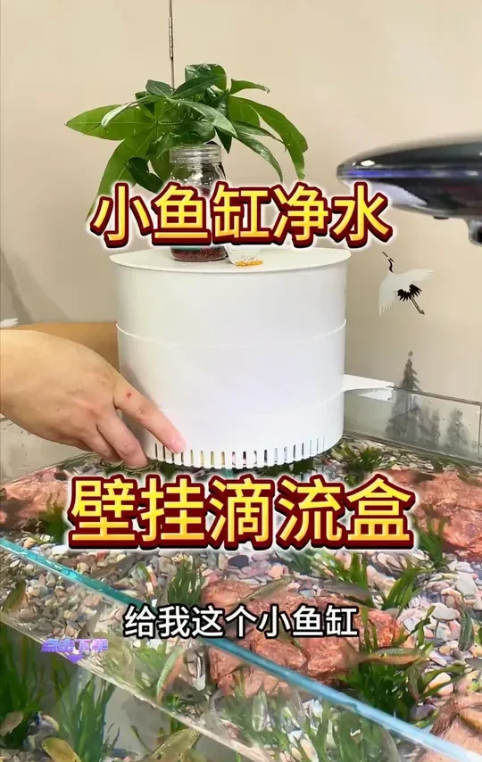 鱼缸鱼池过滤器净水循环养鱼周转箱增氧循环系统过滤设备【不带泵】#鱼缸过滤设备 #鱼池净水系统 #养鱼好物 #循环过滤 #水族用品