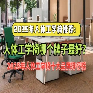 2025年人体工学椅推荐：人体工学椅哪个牌子最好 十大品牌排行榜