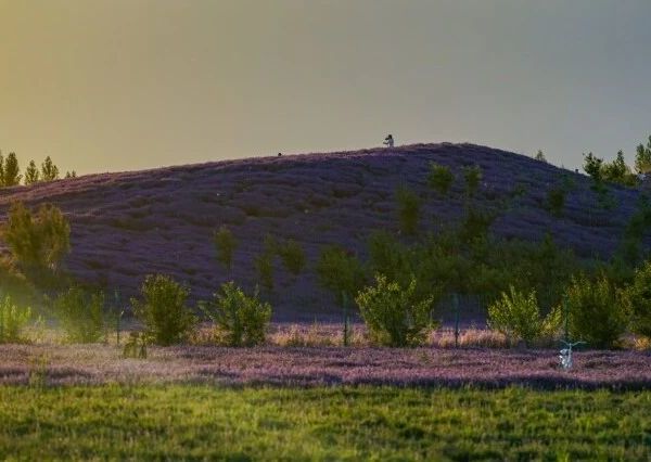 未成年人就不用点进来了