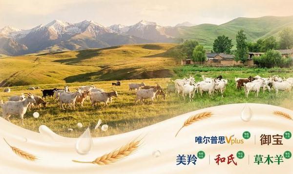 最新最全面的有机纯羊奶粉品牌盘点：国产有机纯羊奶粉推荐