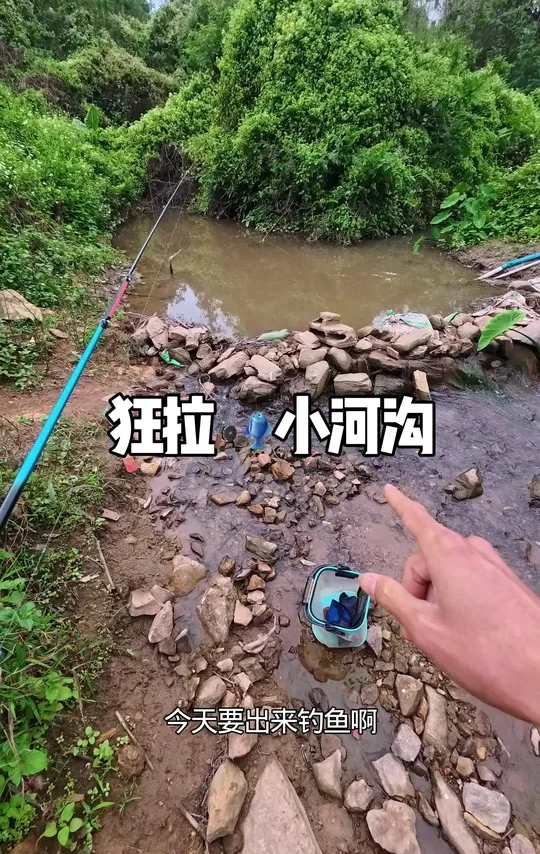 #户外钓鱼 #钓鱼 #沃鼎王者神剑三代