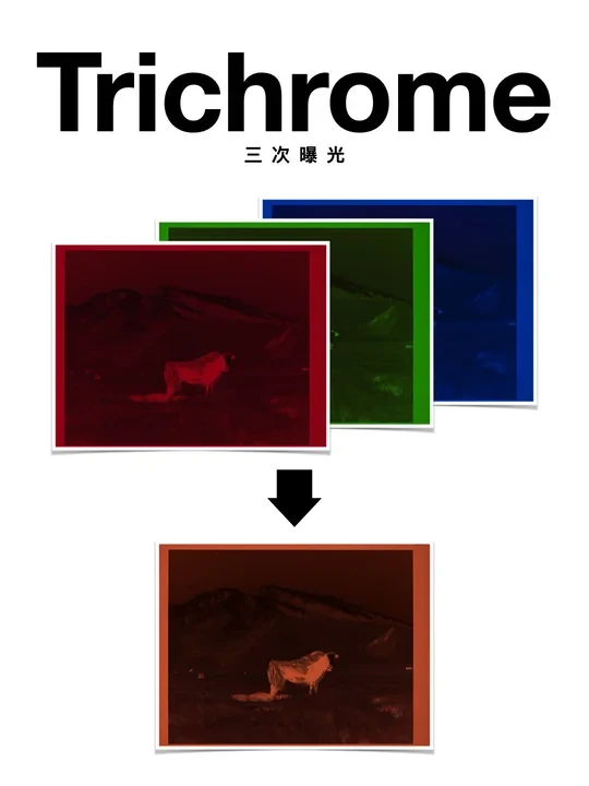 给色彩“去油”：为什么有些胶片不够通透