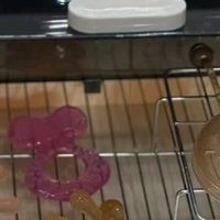 贝因美电动摇奶器：智能调档喂夜奶