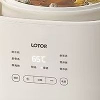 LOTOR D31小浣熊电炖盅