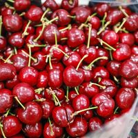 “车厘子自由”是消费升级还是智商税？2000+用户观点大碰撞