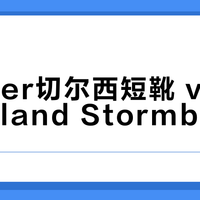 Danner切尔西短靴 vs Timberland Stormbucks？我们汇总了78位用户真实体验，答案在这