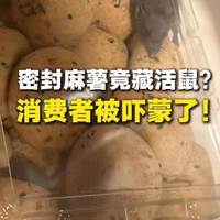 山姆麻薯现活鼠，谁来守护即时配送的“最后一公里”？