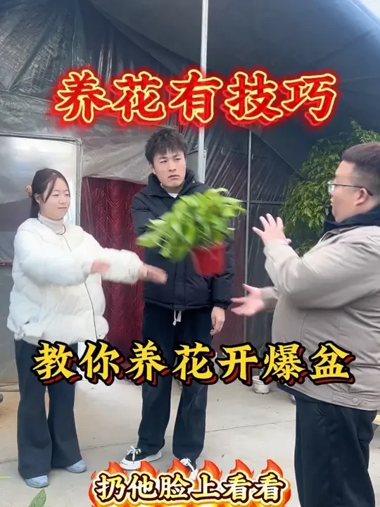 #养花儿技巧 #种植 #绿植小技巧 #鲜花绿植 #家庭养花达人