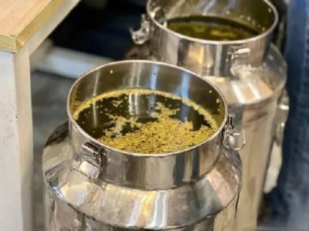 苏大学生凌晨排队抢购,一年只卖一次的冬酿酒到底有何魅力?