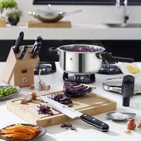 双立人刀具促销季到底划不划算？1200+用户真实观点大碰撞