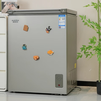 小容量冰柜真能解决冰箱不够用？427+用户观点大PK