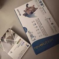 🐱驱虫封神组合！大宠爱+海乐妙全攻略，幼猫成猫都适配