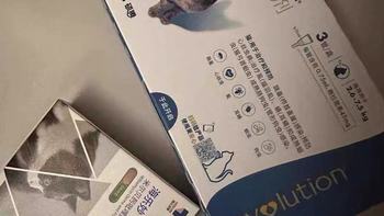 🐱驱虫封神组合！大宠爱+海乐妙全攻略，幼猫成猫都适配