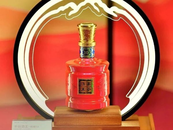 丰谷酒王·经典10：被“未来”选中的“经典”