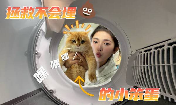 【UP体验209｜有哈不锈钢智能猫砂盆】不臭、不脏、不夹猫、好拆洗！还能顺便称个体重！虽然号称不沾壁，但得用矿砂才效果比较好~另外虽然清洗不娇贵，但零件毕竟比较多，清洗起来肯定还是比传统猫砂盆要累不少