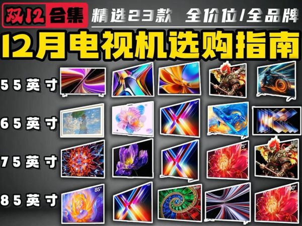 【双12电视机推荐】25年12月高性价比电视推荐清单！23款全价位55寸/65寸/75寸/85寸98-100寸电视详细对比+避坑指南 含海信/创维/TCL等品牌