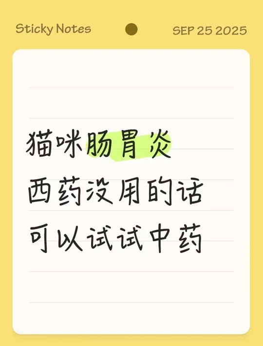 猫咪肠胃炎西药没用的话可以试试中药