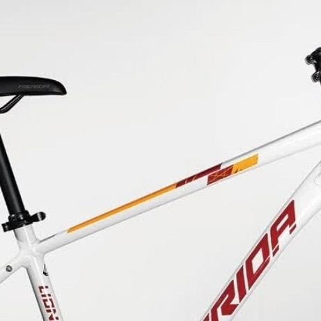 雄狮660：24速山地车新宠