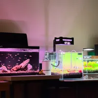 生态缸 vs 古法缸？我们汇总了62位真实用户经验，答案在这