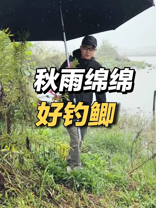 秋季无风的下雨天，正是钓大板鲫的大好天气啊！ #原来钓鱼才是抖音运动顶流 #挑战冬日不封竿