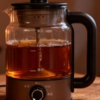 纯钛养生壶，煮药神器，再也不用守着砂锅了！