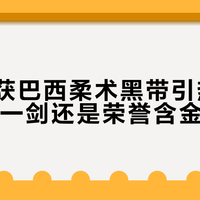 张伟丽获巴西柔术黑带引热议，15年磨一剑还是荣誉含金量存疑？用户观点全景呈现