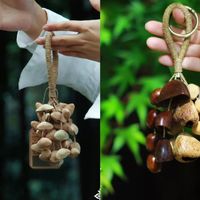 果壳水摇风铃DIY：治愈系手工还是智商税？300+用户观点大碰撞