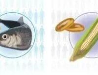 【新英格兰医学】n-3脂肪酸：普通人也能享的“高端”心护攻略