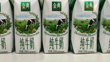 伊利金典纯牛奶整箱 200ml*24盒 3.6g乳蛋白 原生高钙 礼盒装
