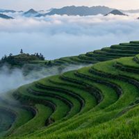 查询石家庄高强丙纶线出厂趋势，获取报价与成本分析