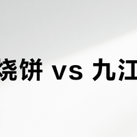 黄山烧饼 vs 九江茶饼？我们汇总了87位用户真实体验，答案在这