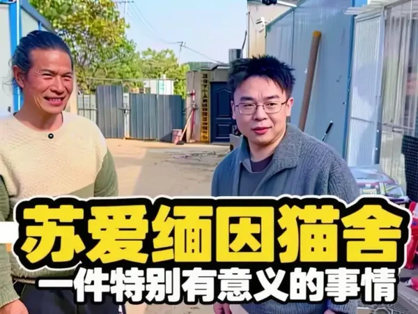 这个世界还是有光的，小人物大能量！@小人物流浪狗小院 #vlog十亿流量扶持计划 #原创视频 #原创视频 #流浪猫救助