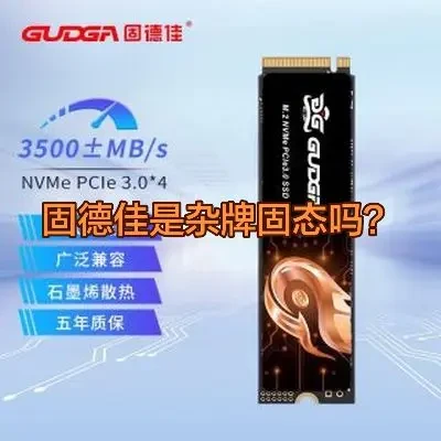 固德佳不是杂牌固态。相反，固德佳在这行业干了十年了 是老牌固态厂商
以前靠给英特尔代工起家。
其实现在买内存或者固态硬盘早就不看品牌了
懂行的人看的是颗粒➕主控
因为这俩厂家自己不做只是组装焊接到一起